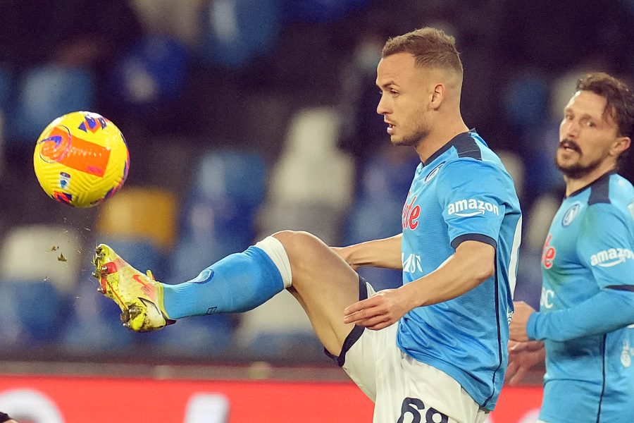 lobotka