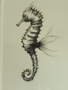 Illustrazione di Paola Cecchetto